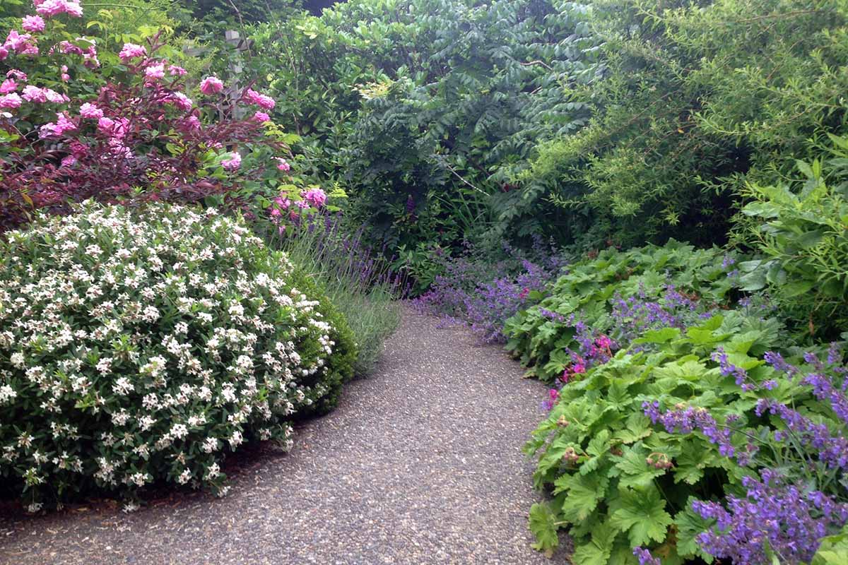Along-the-garden-path