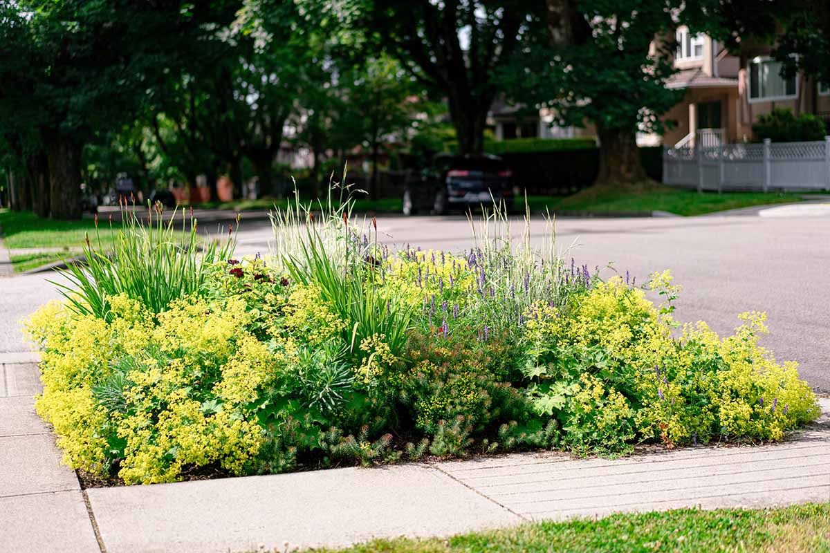 Green_Streets