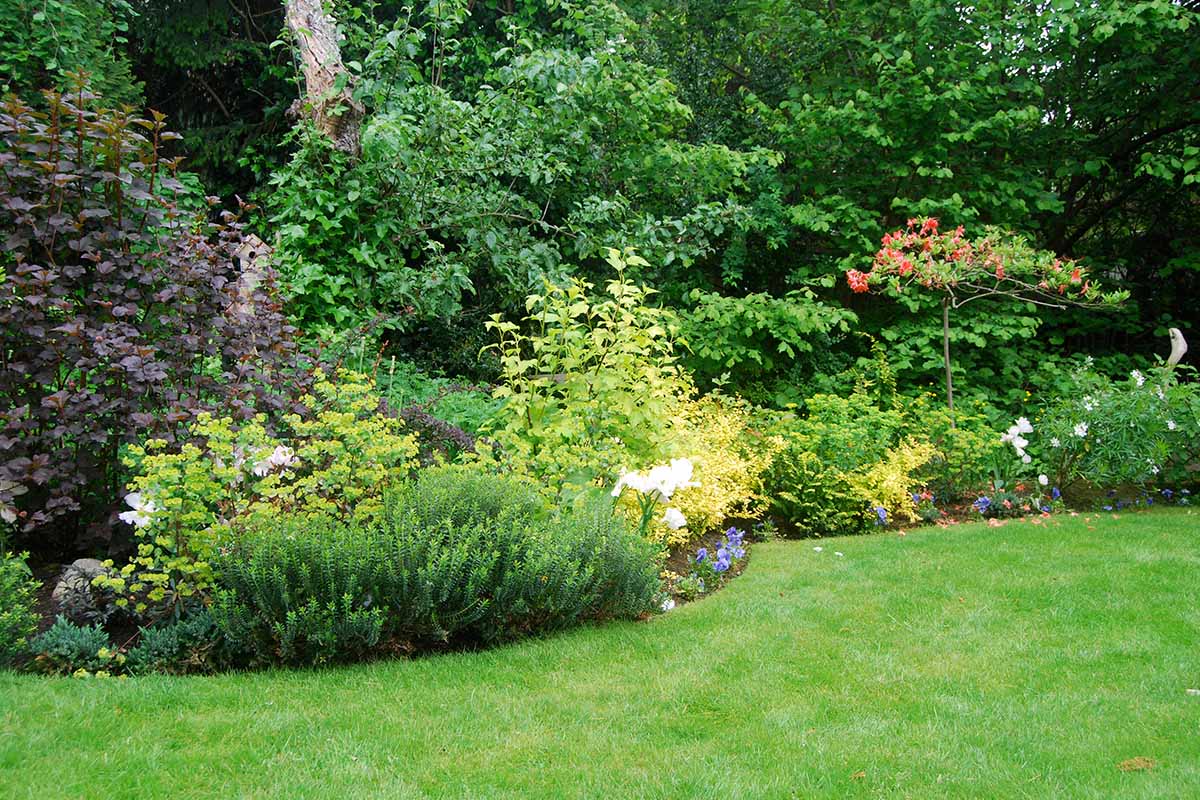 Garden beds in springtime