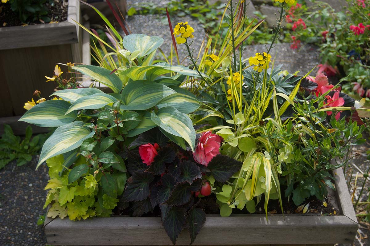 Summer_planter_1