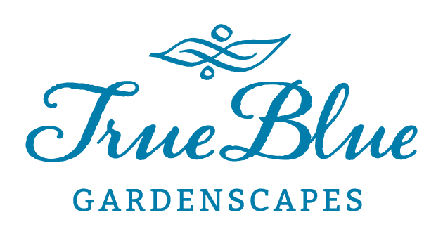 https://www.alyssadawn.com/wp-content/uploads/2022/03/TBG_Logo-blue.png